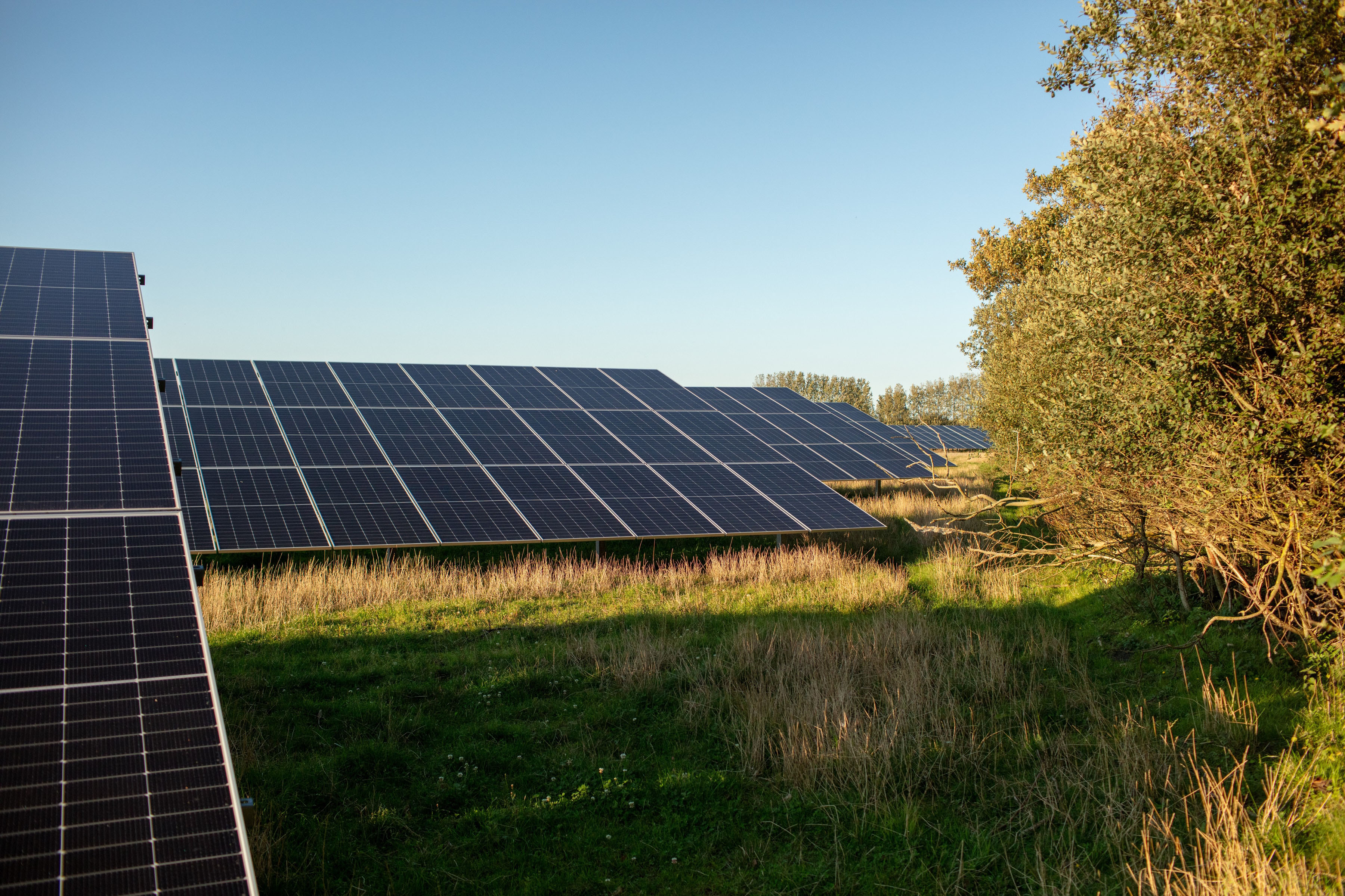 Picture of a solar park among green trees