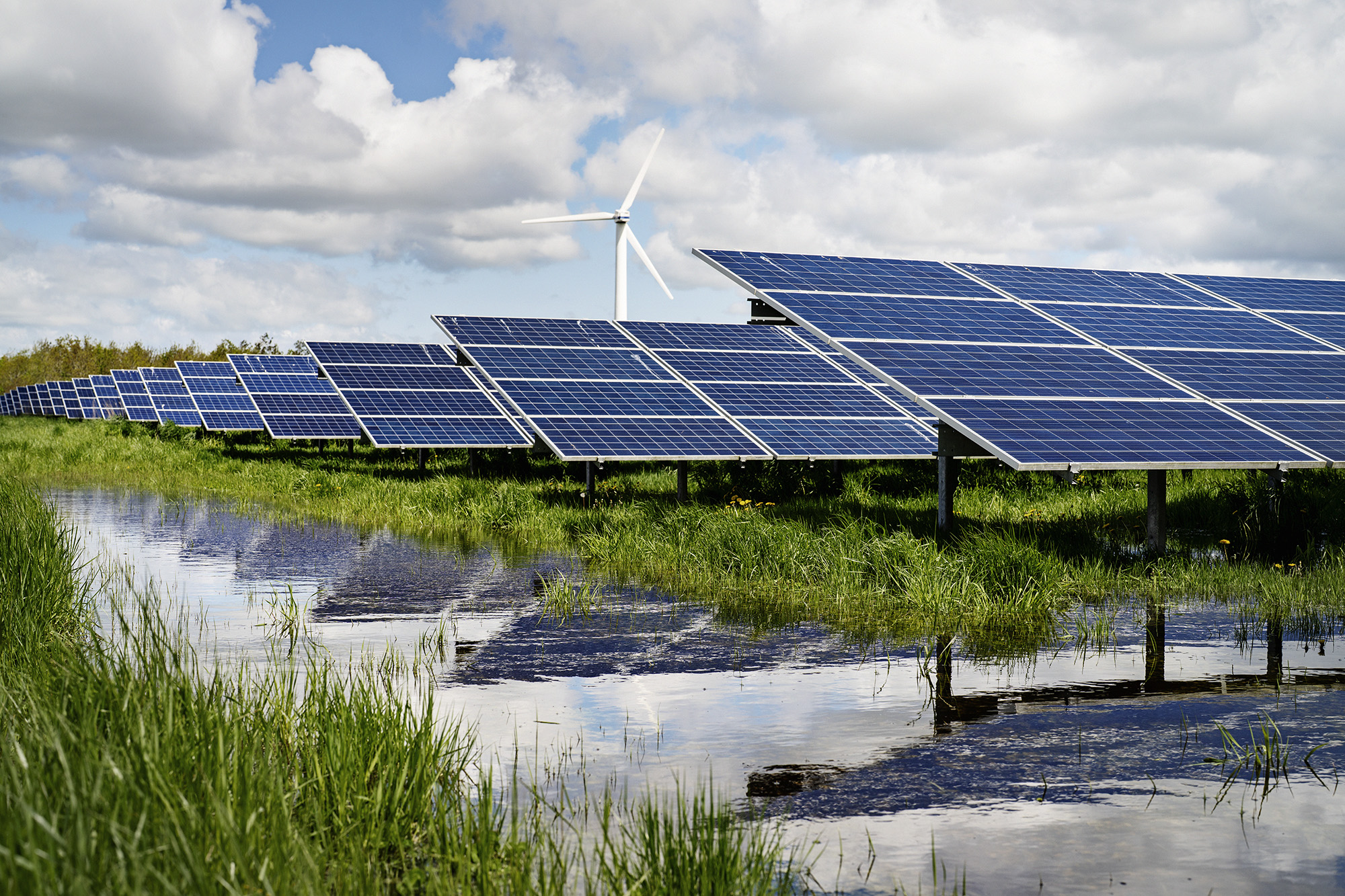 Solar park on wetland