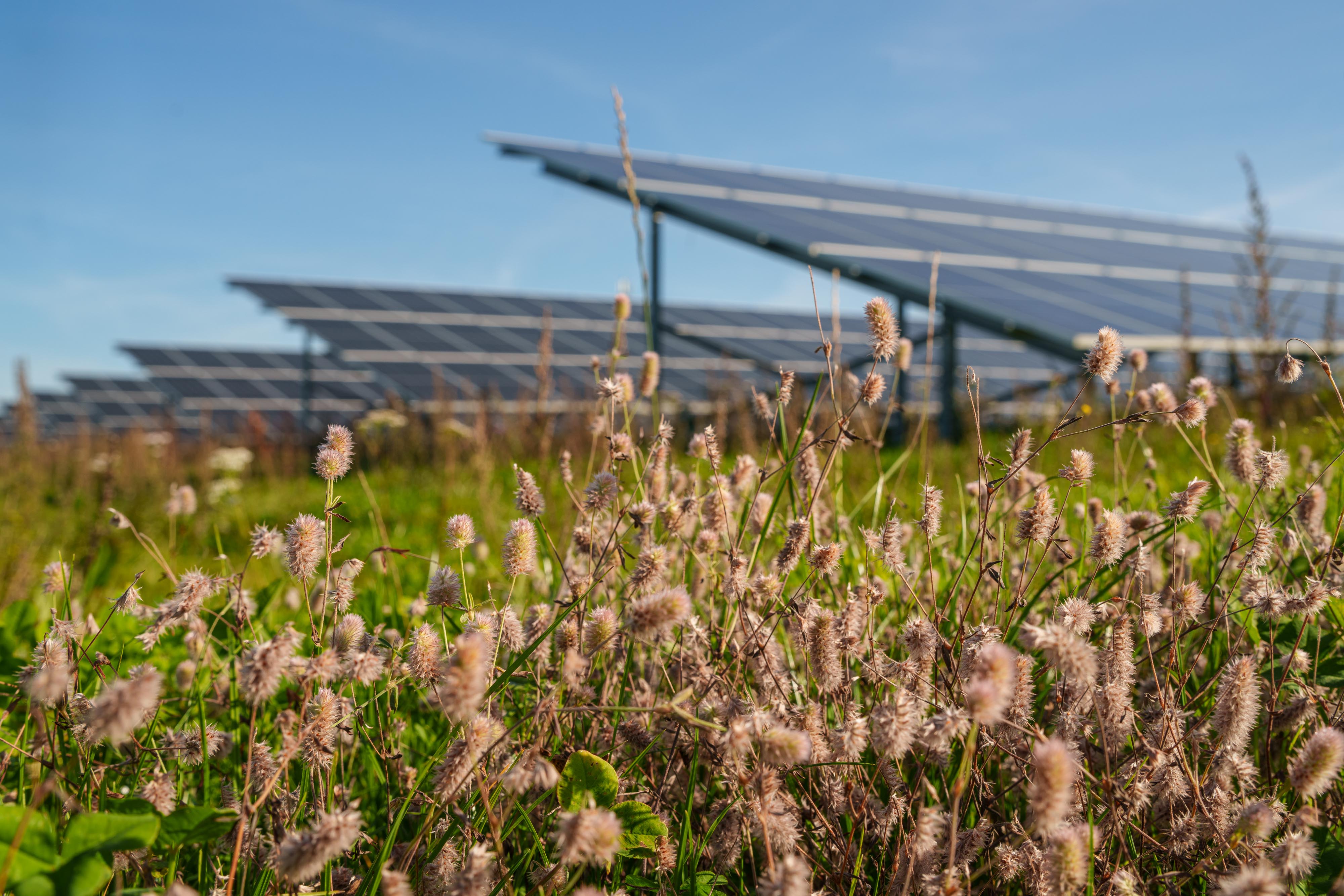 Image of solar park