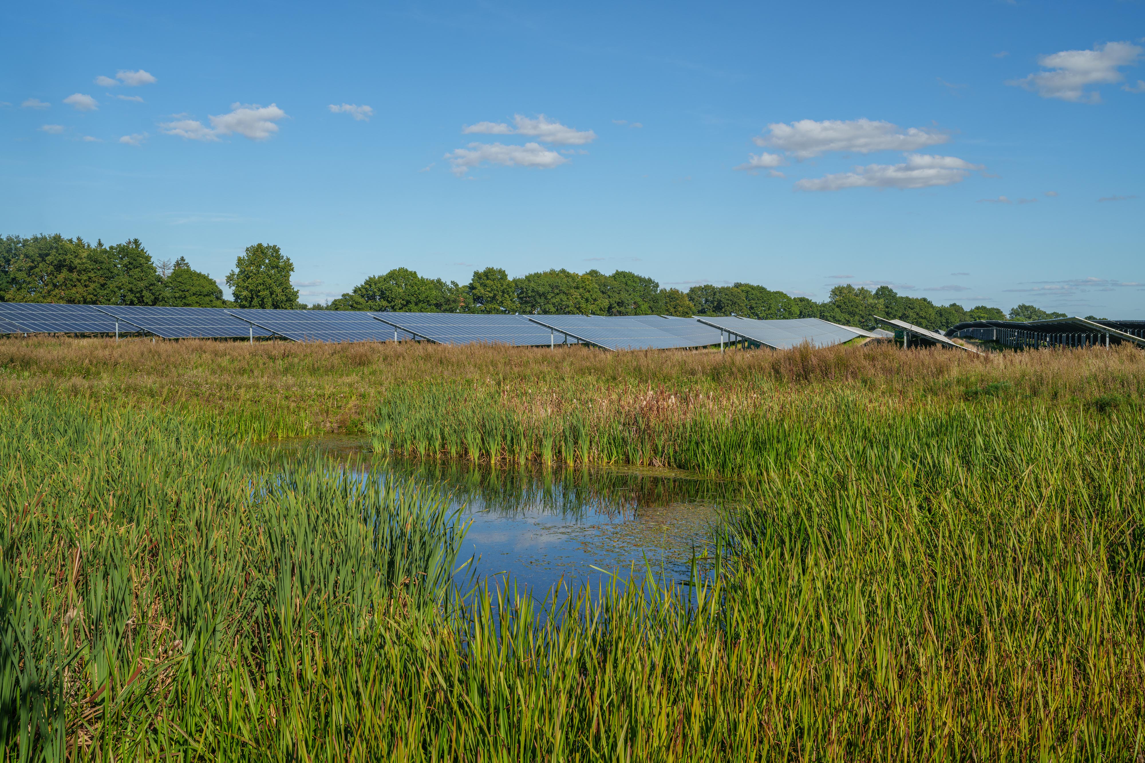 Picture of a bog in a solar park