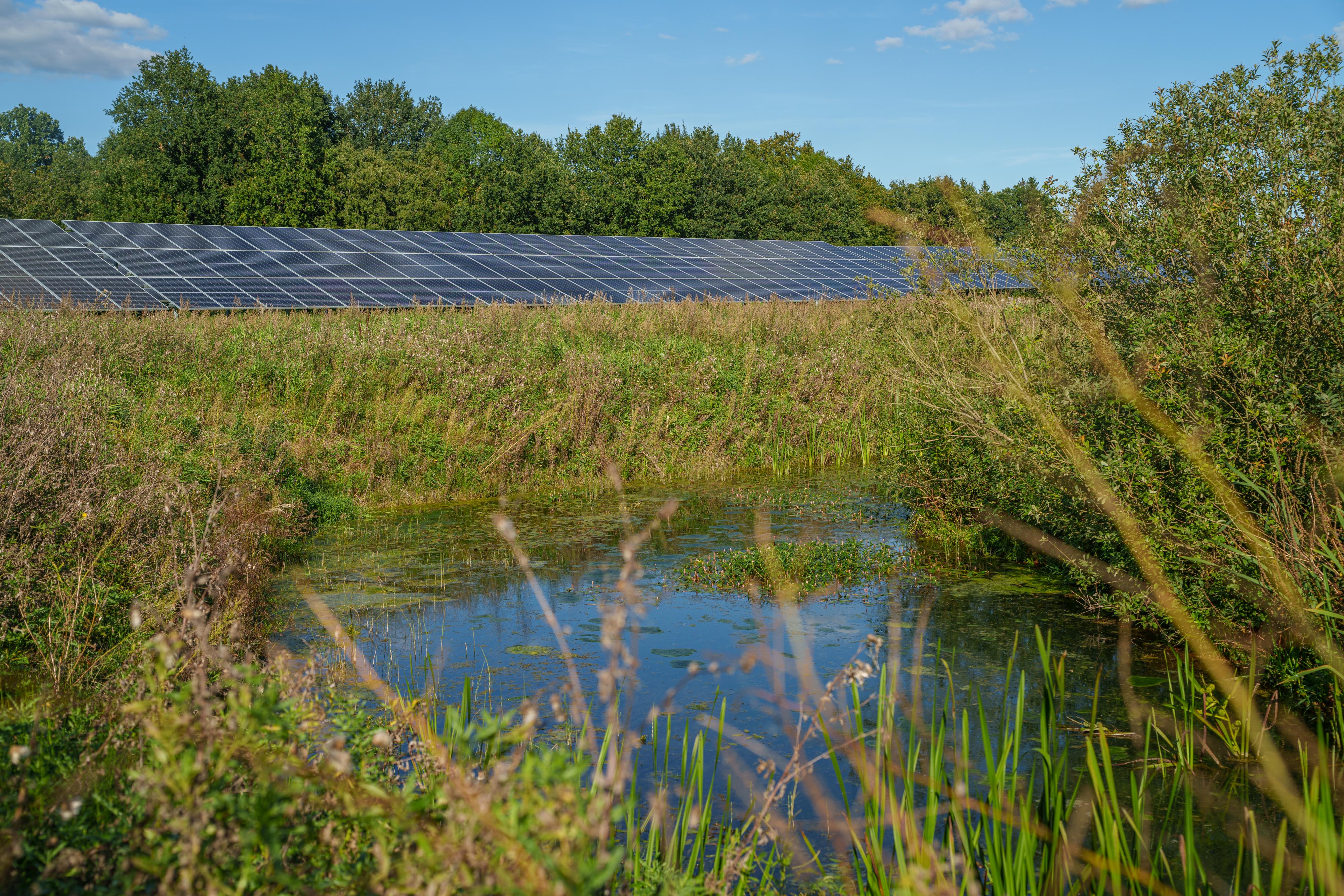 Image of scrubs and solar panels)