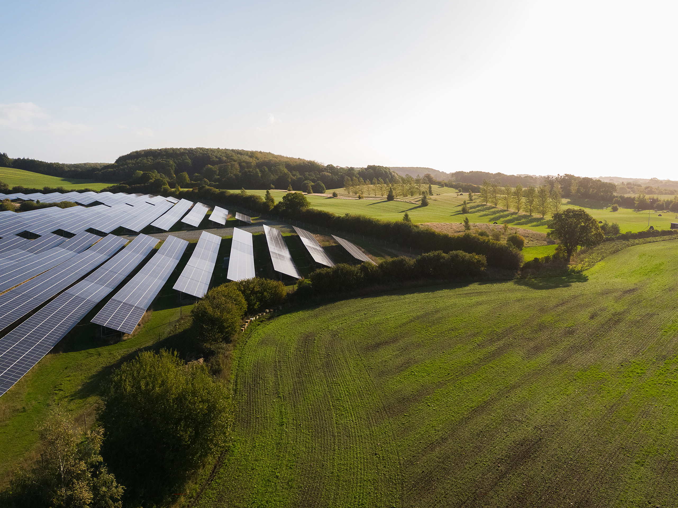 Picture of solar panels 