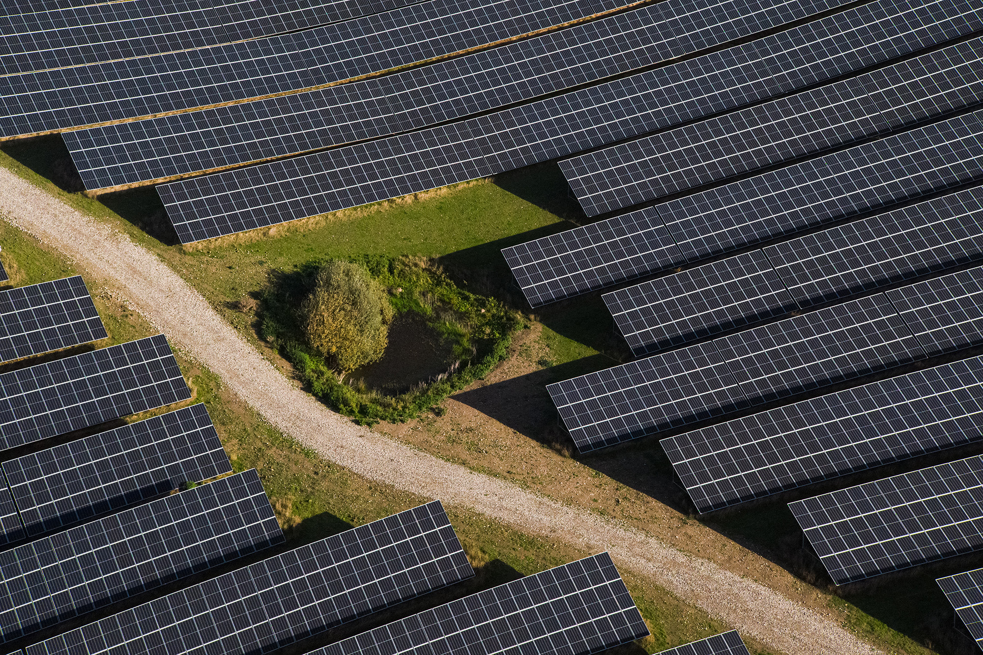 Solar panels seen from above